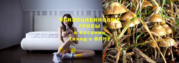 jwh Бородино