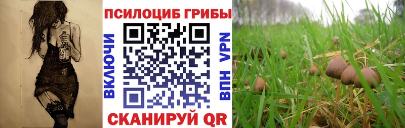 Купить где  Новоалтайск  Псилоцибиновые грибы прущие грибы 